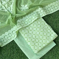Premium Handcrafted Applique Work in Cotton & Organdy Unstitched Suit | 3-Piece