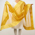 Premium Handcrafted Applique Work Dupatta in Organdy & Cotton (2.5m x 34")